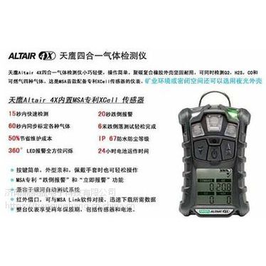 MSAӥ4X H2S/CO/O2/LEL