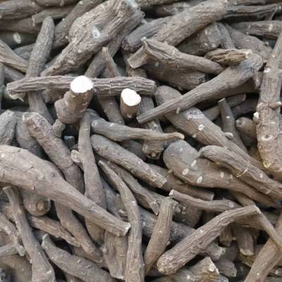 【供应野生雪上一支蒿粉/雪上一支蒿泡酒】安徽亳州供应野生雪上一支