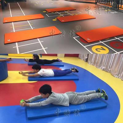 中特侯直销早教中心地垫婴儿爬爬垫环保加厚皮革垫防水隔音榻榻米软垫可定制