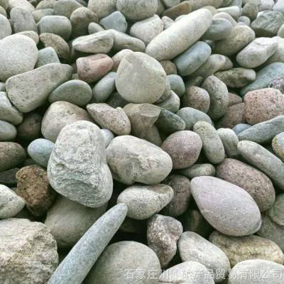 林荫小路造景 水池过滤垫底 园艺用品铺底鹅卵石 川沙
