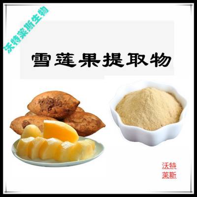 雪莲果提取物10:1 速溶粉 食品级原料 沃特莱斯生物 棕黄色粉末