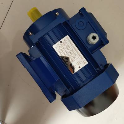 THREE PHASE AC INDUCTION MOTOR 三相异步电动机 GS90S-4 GS8024 GS7124