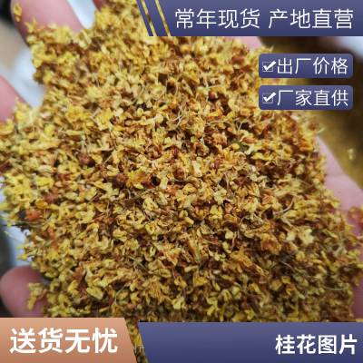 干品无硫桂花优质选货香料大全供应今年新货香料中药材