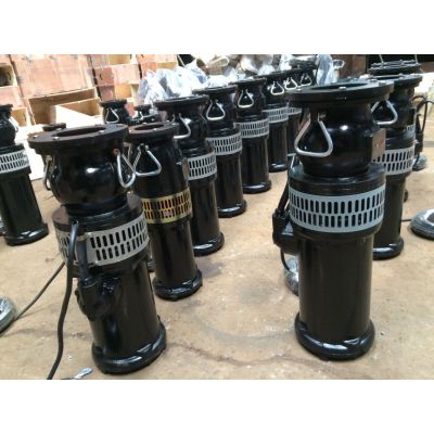 Ǳˮ25QDX3-6-0.25СǱˮ