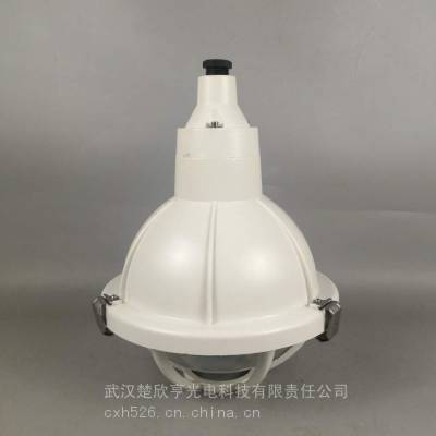 增安型全塑防爆灯LR-BYSF-40防爆防腐灯 LED-1×40W