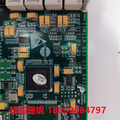 TRICONEX 3664 数字输入模块