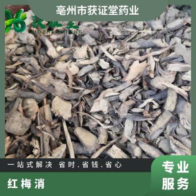 中药材 正宗红梅消无硫干品 获证堂冷背药材供应