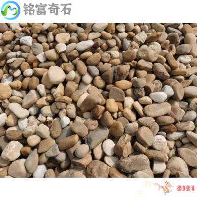 杂色鹅卵石铺地石，广东产地鹅卵石批发，广州鹅卵石款式多样
