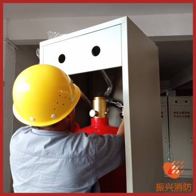 贵重设备室气体灭火系统 柜式七氟丙烷灭火系统