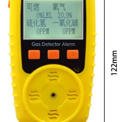 SY供型号:ZA011-K826库号：M67447一气体检测仪(氧气、一氧化碳)