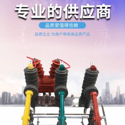 10kVͻѹն·ZW32-12F 綯 ңز