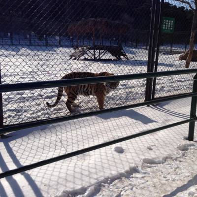 动物园铁丝网围栏 厂家供应动物园用铁丝网围栏安全隔离护栏防护网等
