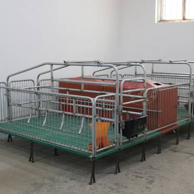 加厚单体母猪定位栏 两用一体分娩床 落地式产床 保育猪用设备