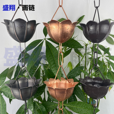 Ͻˮ  ͭװRain?Chains