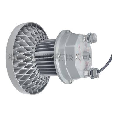 DGS150/127L(A) LEDƼ۸