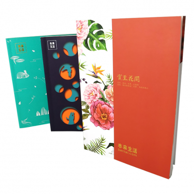深圳器材画册设计 净化器画册设计 美食图册设计印刷
