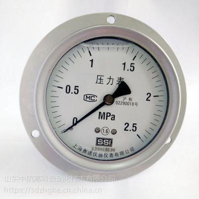 ;SSI YTN-100HZTڿʽȫѹ װ