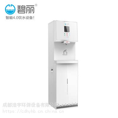 供应办公区域机关单位专用碧丽立式直饮机