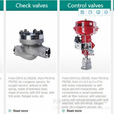 法国爱兰德Ireland Valves 低温阀181743 DN100 PN50