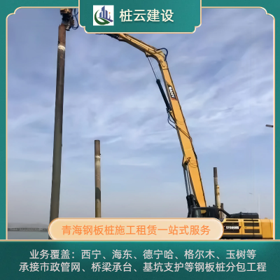 桩云建设 海南钢板桩施工 供应保障 丰富施工经验 ZY2532