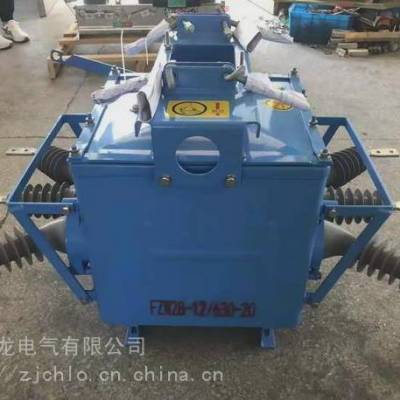 ZW20-12系列户外高压真空断路器 柱上式分界开关ZW20-12FG