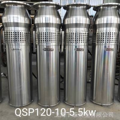 QSP100-6-3假山喷泉泵 水池不锈钢喷泉泵