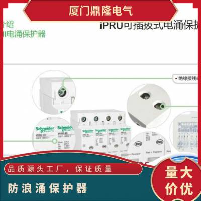 施耐德电涌保护器iPRU 1P+N 65KA 350V防雷插拔式A9L065500 浪涌