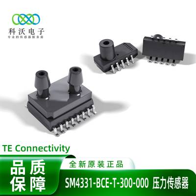 SM4331-BCE-T-300-000ѹ ߼໤ ͨ豸CPAP  ̩