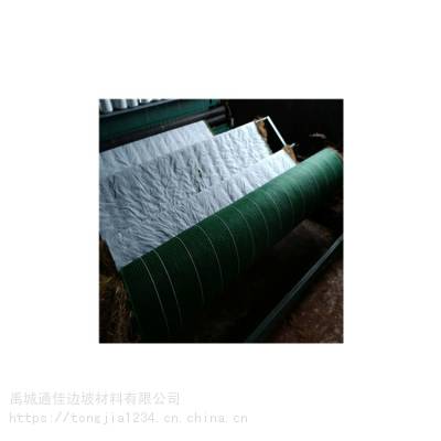 河南郑州厂家生产边坡防护 抗冲刷 加筋防冲毯 抗冲生态毯 生物毯