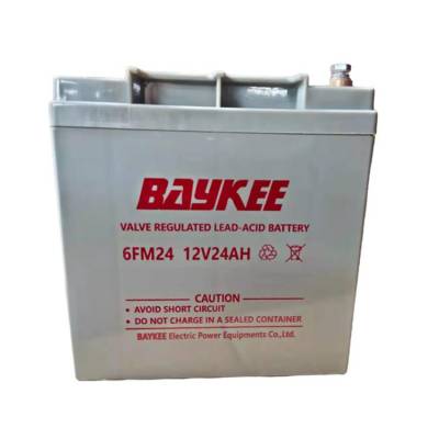 ؿBAYKEE6FM24 12V24AH ƻUPS/EPS豸Դ