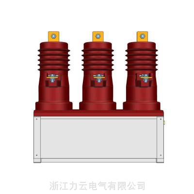 永磁高压真空接触器10kV预付费计量箱用CKG4-160-630A/12FC真空开关