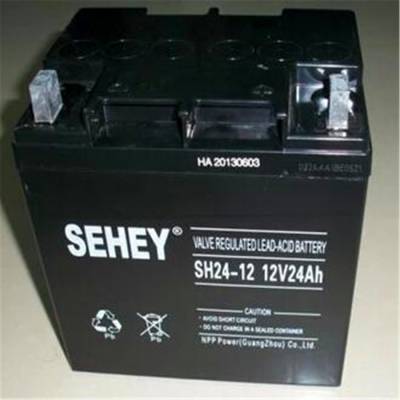 SENEY西力蓄电池SH20-12西力12V20AH 蓄电池质量如何