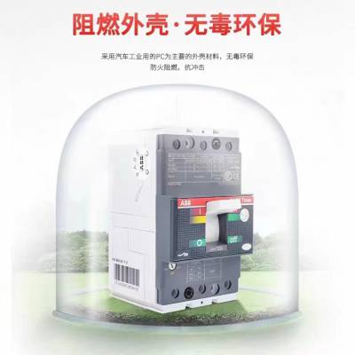 ABBTmax XTϵܿǶXT2N160 TMG 125 FF 4P