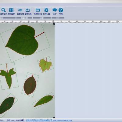 叶面积分析系统 型号M400769 库号：M400769