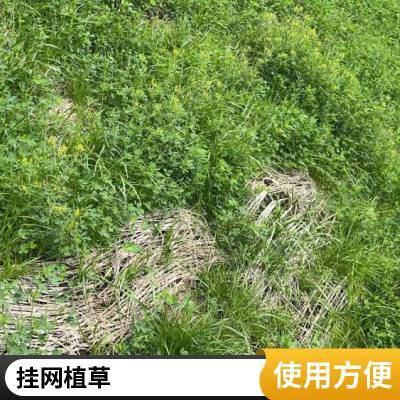 睿承公司专业矿山治理承接包工包料客土喷播人工机械多年经验全国施工