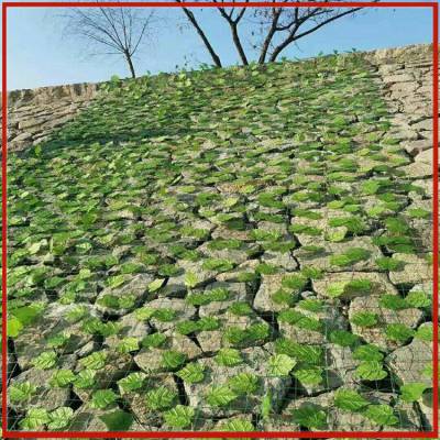 加工矿山绿植网厂 绿草叶装饰网定做 山体绿化修复网