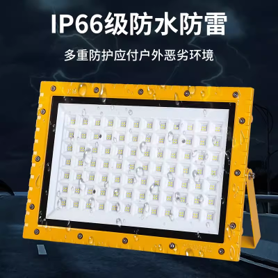 led防爆照明灯100W加油站车间化工厂防腐耐高温泛光灯200w80W