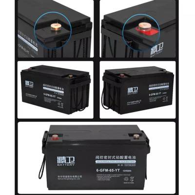 6-GFM-65-YT 12V6***H ܷʽǦ
