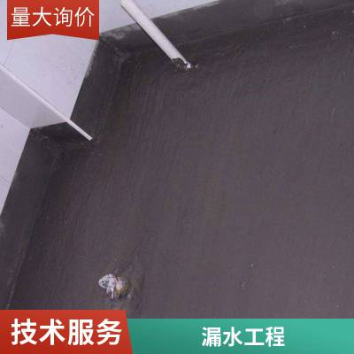 广 州从化区大面积防水卷材伸缩缝 屋面防水工程 防水补漏施工