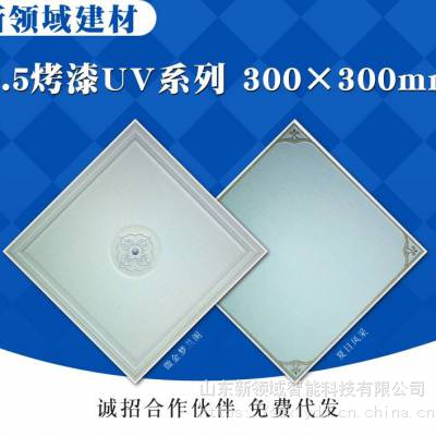 ҹӦɵ۰弰ƷƬƬģͿ300*300*0.5