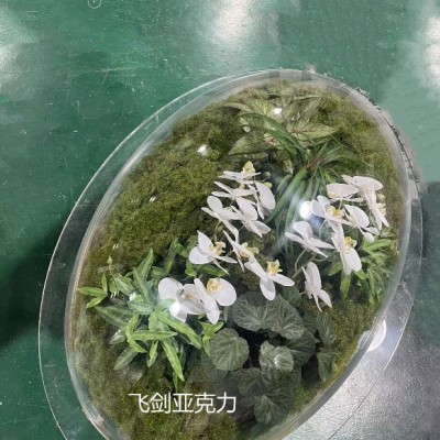 飞剑亚克力有机玻璃透明椭圆绿植半圆球防尘罩装置定制