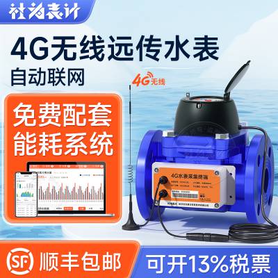 建筑4g无线水表_电子智能水表_冷水表DN200大口径