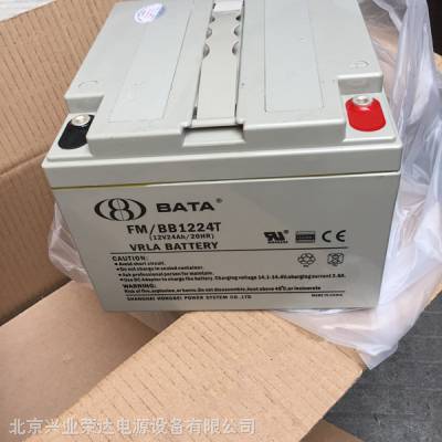 豴BATAFM/BB1224/12V24AH ֱ