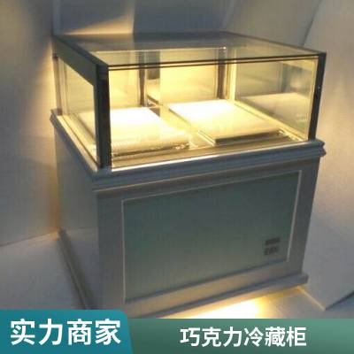 均匀制冷茶叶冷冻展示柜 巧克力双门冷冻柜 定制全国联保