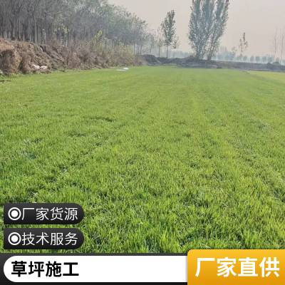 园林景观设计混播草坪施工户外草坪铺装批发昌平