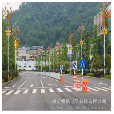 户外亮化工程玉兰灯广场道路照明景观灯路灯中华灯 