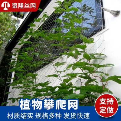 耐疲劳幕墙美观绿植爬行网 可定制钢丝植物攀爬网