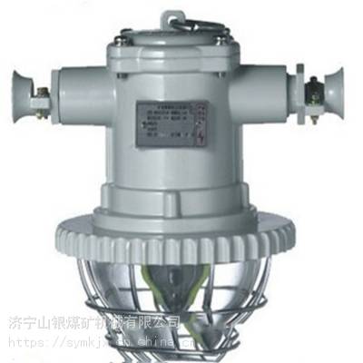 LED巷道灯 矿用隔爆型LED巷道灯DGS12/127L(A)型号齐全