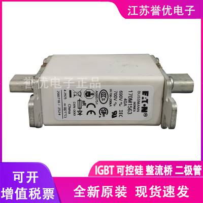 170M1560 170M1561 170M1562进口巴斯曼熔断器-江苏誉优电子代理