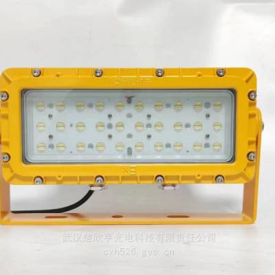 SEVAZM尚为 LED防爆灯60W TP-LCD-DSP-CTRL 防爆LED工作灯SZSW8230